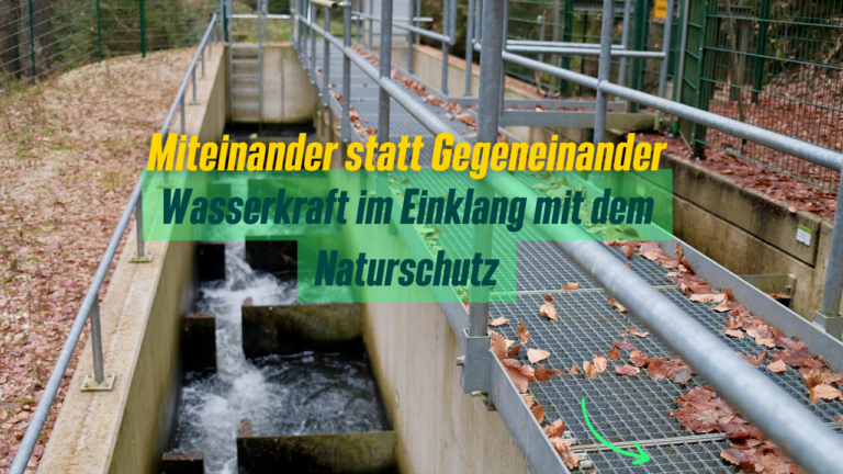 Auf dem Bild ist eine Fischtreppe zu sehen. Die Überschrift sagt: "Miteinander statt Gegeneinander: Wasserkraft im Einklang mit dem Naturschutz."