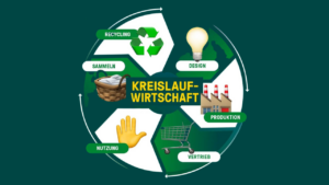 Grafik zur Kreislaufwirtschaft: Sammeln- Recycling - Design - Produktion - Vertrieb - Nutzung - Sammeln ...